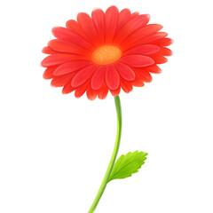 red calendula flower