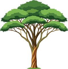 Obraz premium African savanna tree (Acacia)