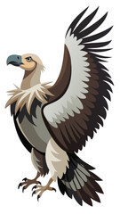 bald eagle vector illustration