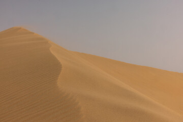 sand dunes in Qatar