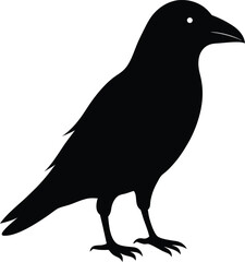 silhouette of a crow