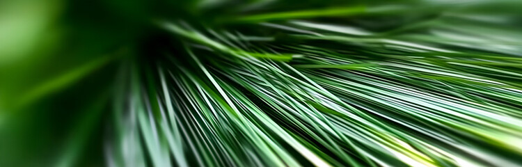 Obraz premium Abstract close up of green plant leaves showing a natural pattern with bright tones and focus on the detail of the texture