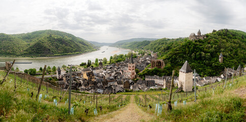 Scenic panorama of Bacharach, Germany, from a vineyard viewpoint. Shows the historic town, Stahleck Castle, Wernerkapelle ruins, and St. Peter's Church nestled in the UNESCO Upper Middle Rhine Valley.