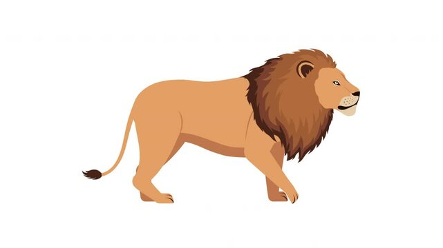 Lion walking 2D animation with alpha channel transparent background
