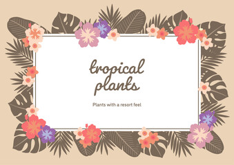 南国の植物B03　背景　A4横