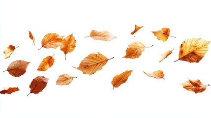 Autumn leaves scattered in the wind (5)