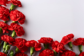 Rote Nelken liegen auf wei&szlig;em Hintergrund