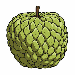 Spiky skin texture, green tropical fruit and a brown stem, isolated on a white background