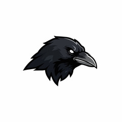 Fototapeta premium Graphic crow illustration with menacing eyes and dark plumage on a white background