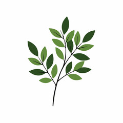 Fototapeta premium Leafy branches in the lower right corner on a white background; green hues