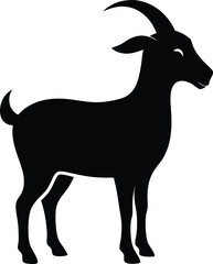 goat on white background
