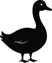 duck vector illustration