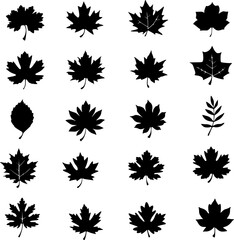 Autumn Leaf Silhouette Bundles