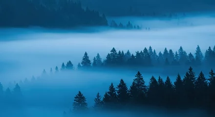 Printed kitchen splashbacks Misty Mountain Forest at Dawn