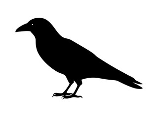 Raven Silhouette Standing Profile