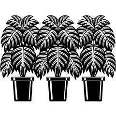 Obraz premium Plants in pots in silhouette vector illustration