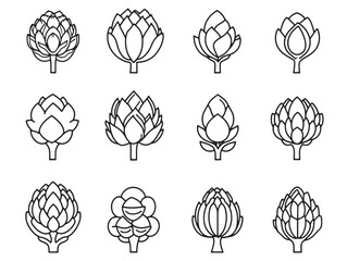 Botanical artichoke line drawing for culinary and kitchen use