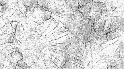 Obraz premium Fine cracks in the coating on the metal surface, texture of the wall a black and white vector of a cracked wall cracked cracked texture background,
