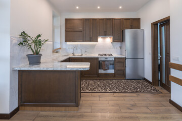 Modern house kitchen interior