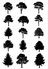 Silhouette Grove: A Monochrome Arboretum