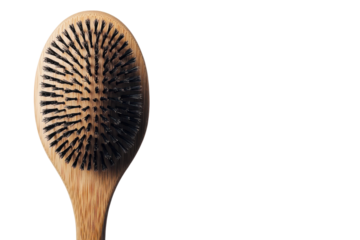 Oval wooden hair brush tool