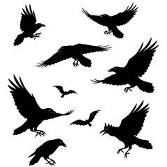 Obraz premium Midnight Flight of Shadows