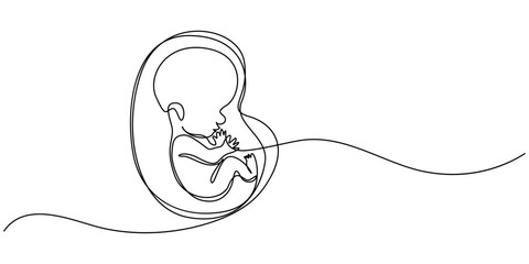 Baby embryo in womb one line drawing. Cute unborn fetus baby on mother womb isolated on white background, Baby embryo in womb in one continuous line drawing. Healthy pregnancy and premature symbol.