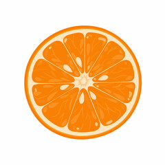 Citrus slice with vibrant orange segments and a white center texture