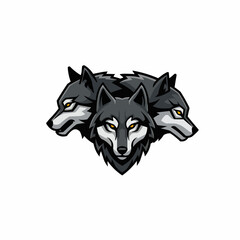 Fototapeta premium Three wolf heads are positioned close together, with a white background