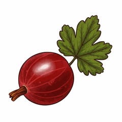 Detailed sketch of a ripe berry and a leaf, isolated on white, a close-up detail