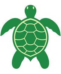 turtle vector illustration