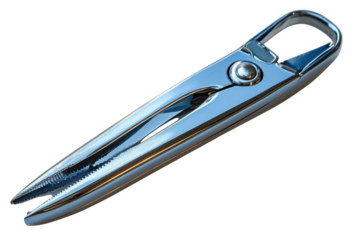 Shiny metallic crab cracker