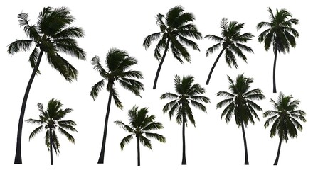 Obraz premium Windswept Palms AI Generated