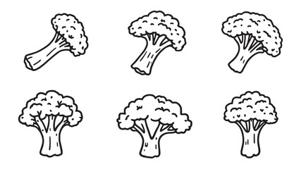 Broccoli line art minimalist natural food sketch