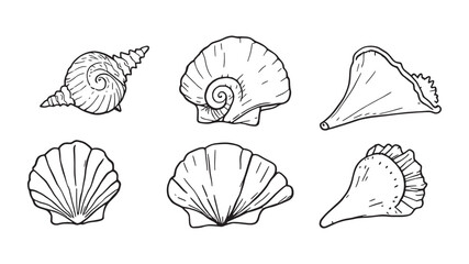 Collection set of beach seashells line art drawing