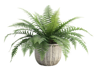 Lush fern houseplant in textured pot adds vibrant touch to any indoor space, enhancing atmosphere with its greenery and elegance
