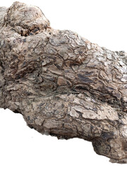 cut Log, wood timber isolated on white background