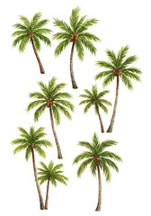Tropical Haven: Palm Grove AI Generated