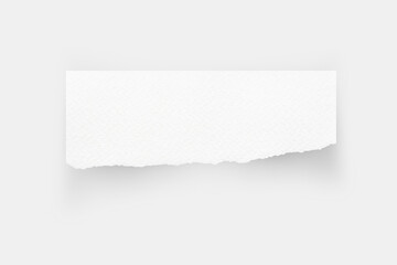 Torn paper edges. Ripped paper texture. Paper tag. White paper sheet for background with clipping path. Close up image.