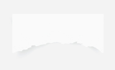 Torn paper edges. Ripped paper texture. Paper tag. White paper sheet for background. Vector illustration.