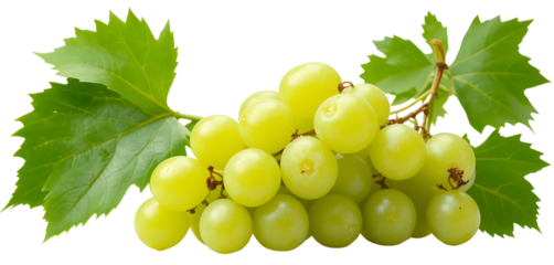 Vibrant bunch of green grapes with detailed vine leaves, isolated on a white background, ultra-HD, soft edge shadows, realistic color tones.