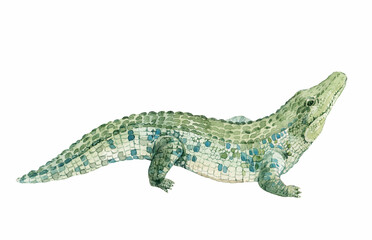 Naklejka premium Watercolor hand drawn Crocodile Illustration