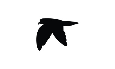 Flying Ainley's storm petrel bird Silhouette Design  And Vector Illustration. 