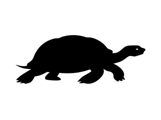 Tortoise Silhouette Walking Profile