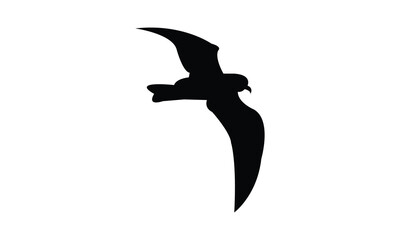 Flying Ainley's storm petrel bird Silhouette Design  And Vector Illustration. 