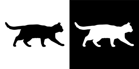 Curious Cat Facing Forward Variation  © iChan Design