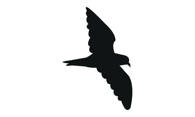 Flying Ainley's storm petrel bird Silhouette Design  And Vector Illustration. 