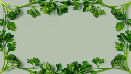 Parsley Frame on Pale Green Background with Copy Space for Text or Design