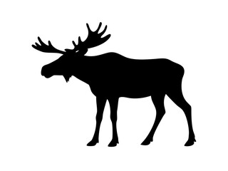 Moose Silhouette with Large Antlers