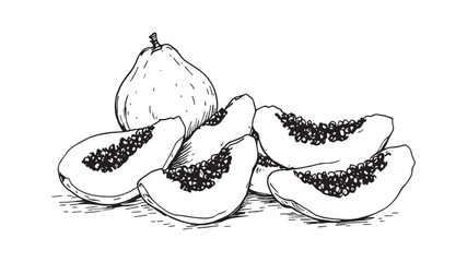 whole and half of ripe papaya line art illustration
